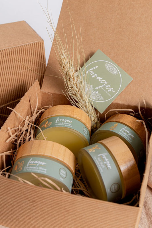 Forager Faves Box