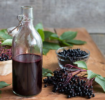 The Elderberry Gathering - Wed 2nd Sept
